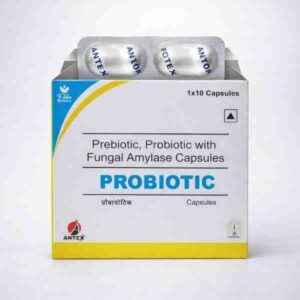 Probiotic, Prebiotic & Fungal Amylase Capsules (Digestive Support Formula)